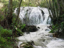 Monchique Hotels